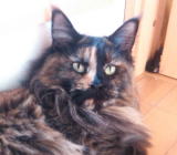 ���i�C���[�W